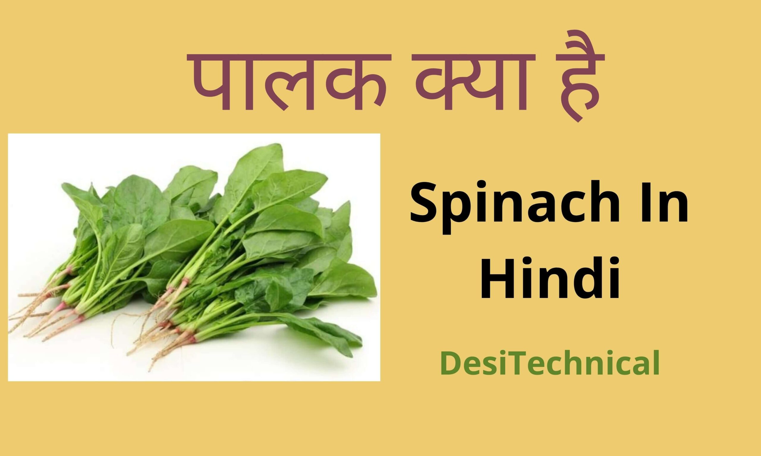 Spinach In Hindi